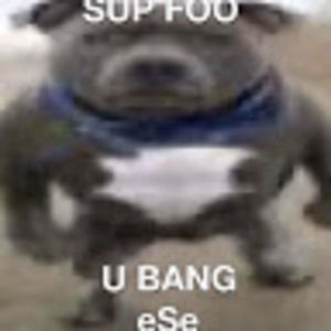 Meet your Posher, Eduardo